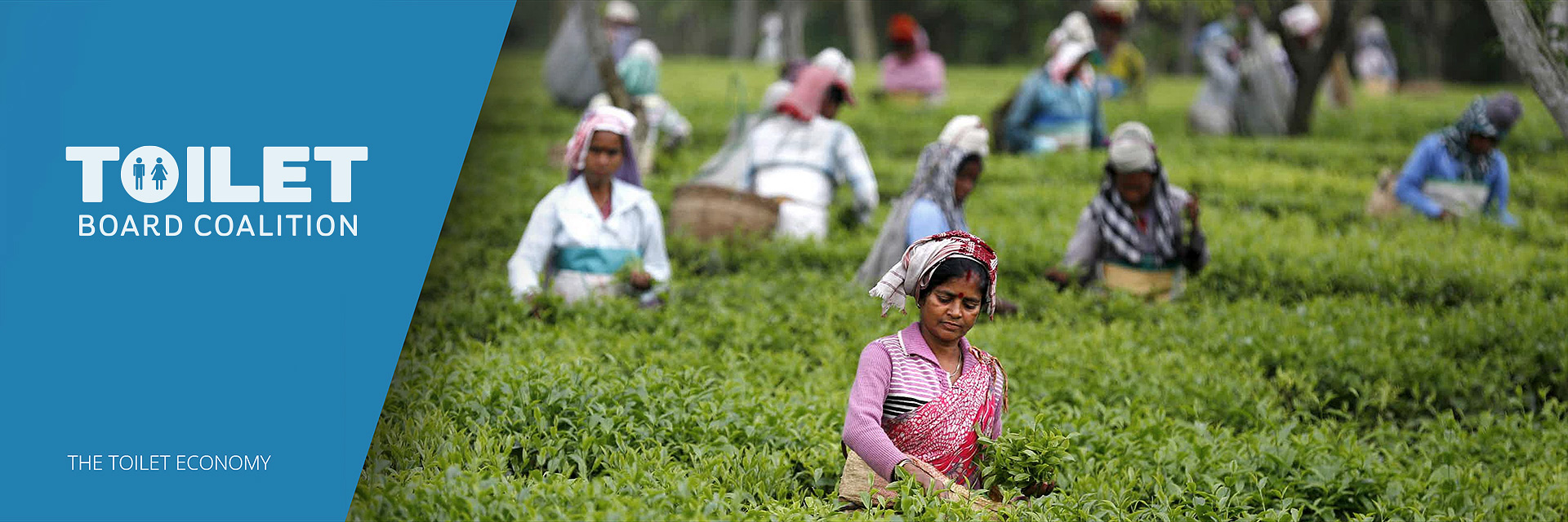 A visual representation of the global stage, symbolizing the monumental challenge of transforming a complex societal issue into a clear, investable economic opportunity through strategic narrative architecture.